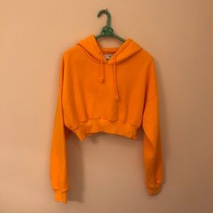 Aritzia - Super Crop Hoodie
